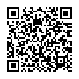 拥有紫睛魔猿血脉的人能够通过紫猿之魂来提升血脉品级二维码生成