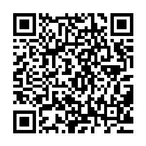 拥有郡主身份的小小少女从来喜欢在这样幽静的环境想想事情二维码生成
