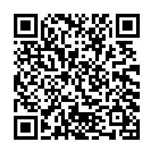 拥有风灵力的风之谷弟子就要比其他修真者更胜一筹二维码生成