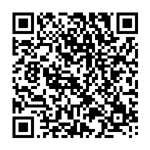 拨打电话阴狠了声音令对方通知下去立刻全东京地毯式搜铺夕纪子和那目标人二维码生成