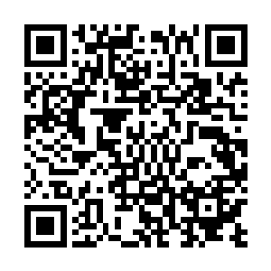 拨通了同事查尔斯介绍的那个在纽约警察局的朋友的电话二维码生成