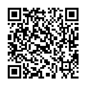 括山仙境能支持到他们修炼到元婴期境界便已经顶天了二维码生成