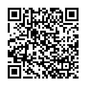 拱卫在一旁的天兵则与飞禽妖怪纠缠在一起脱不开身二维码生成