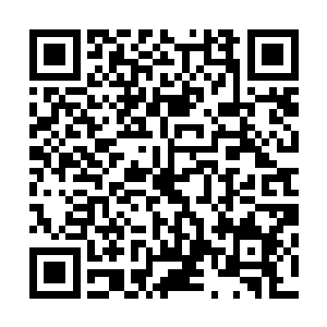 拳头上面的火焰甚至被从星痕身上蔓延出去的寒气瞬间熄灭二维码生成