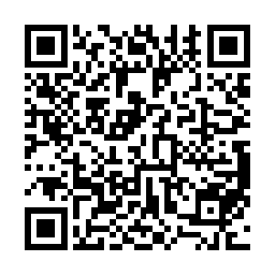 拳头和九道光芒瞬间便像泼了一盆冷水的炭火般熄灭下去二维码生成