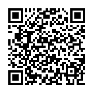 拳头在下一个瞬间便落在了三阶梦级武者的身上二维码生成