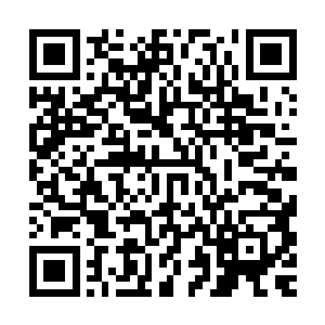 拳头大密封的白玉盒子金色升级的两把武器基础套装有加成效果二维码生成