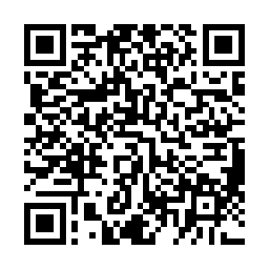 拳头大密封的白玉盒子金色升级的两把武器基础套装有加二维码生成