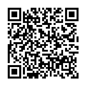 拳影重重硬生生的将古遮坤等人逼退到岛屿附近二维码生成