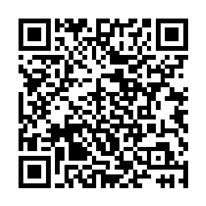 拳王的主要精力都投入在维护整个盘古宇宙的稳定上二维码生成