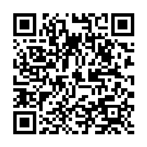 拼了老命的抢噱头贝海是没有本事挡住身边这老头了二维码生成