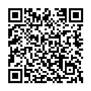 拼死拼火浪费了大量时间都杀不死一只独臂金狼二维码生成