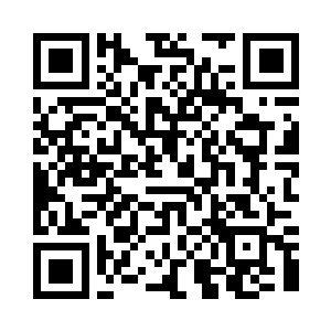 拿了一支停歇三只小小红蜻蜓的发簪二维码生成