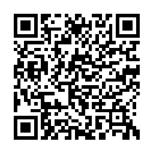 拿了干净的帕子给跑得双颊红通通的小朋友擦汗二维码生成
