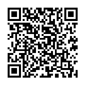 拿了白药以及神医留下的治疗肺痨的药丸让她服下二维码生成