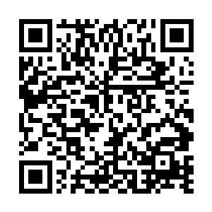 拿出了贴身大丫头的架势教育了两个大唿小叫的小丫头二维码生成