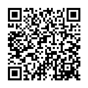 拿出在魔族守护之地得到的各种自己用不上的资源二维码生成