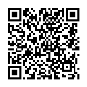 拿到了轮子妈与风女这个现在版本最强势的组合二维码生成