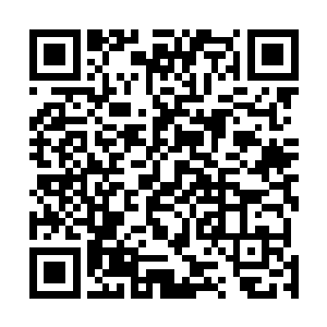 拿到影评师资格证以后并不是说你以后就可以高枕无忧了二维码生成