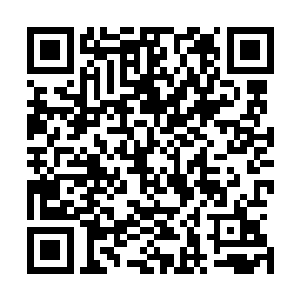 拿圣兽玄武当宠物养……我也跟大力少爷学败家好不好……二维码生成