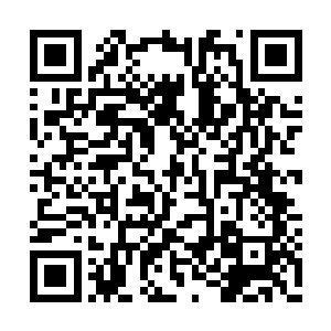 拿着便签箱钥匙的刘星可以在外面打开箱子看到二维码生成