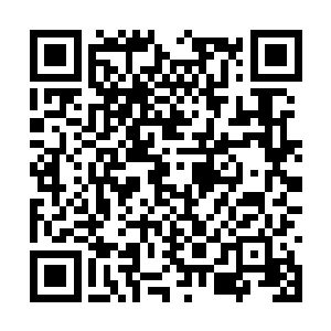 拿着对讲机的保安经理顾彪看起来还是神采奕奕的二维码生成
