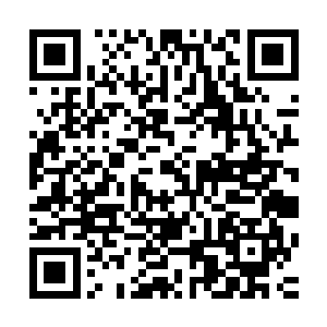 拿着根棍子就好像拿着一条黄瓜的巴克站在人头攒动的巷子里二维码生成