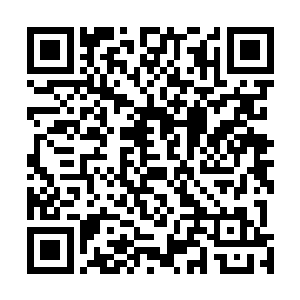 拿着节目行程表不断穿行的直播人员则在人群之中忙碌着二维码生成