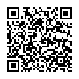 拿着解恩令在手里晃一下――你小子区区的二级天仙二维码生成