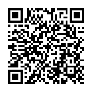 拿着金光闪闪的镀金铜剑当宝的菜鸟我已经见过一打二维码生成