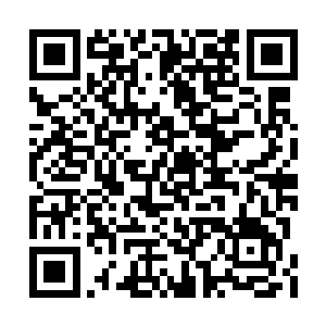 拿着麦克风不断地对着叶凡问着各种各样的问题二维码生成