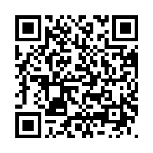 拿起了特蕾莎嬷嬷送的那小半袋种子二维码生成