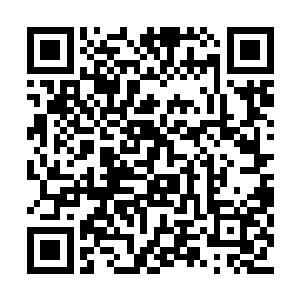 拿起旁边的电话就按照苏凡刚刚安排的做了起来二维码生成