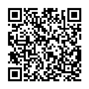 拿起门边的一个花瓶就朝着那个男人的背影砸去二维码生成