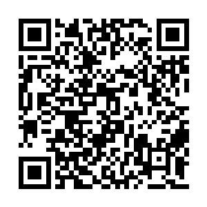 拿过刚刚被自己丢在一边的文件夹转身向外走去二维码生成