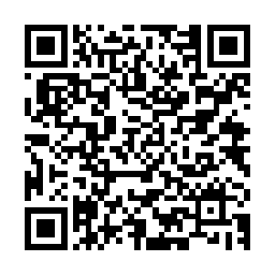 持续一周的赛博朋克文化展吸引了全美大批青少年爱好者的目光二维码生成