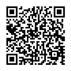 持续的火力压制让整条街道的武装分子不得不往后节节退缩二维码生成