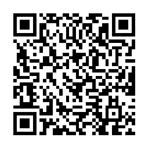 持衡界主被我散发出来的狂暴气息惊得眼皮狂跳不止二维码生成