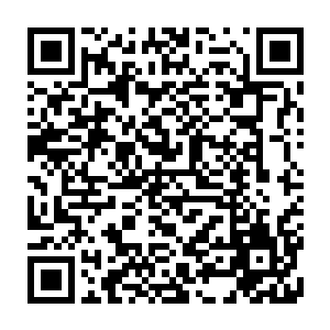 挂到了森林边缘一颗高大枯发现身下是条流淌平缓感觉有古怪的平静绿河二维码生成