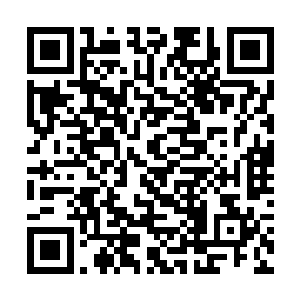 指不定什么时候你就莫名其妙的从这个世界上消失了二维码生成