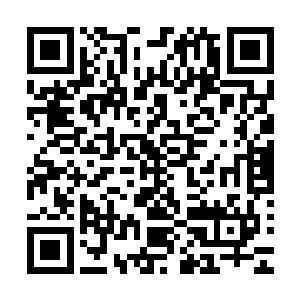 指不定在天辰圣盟见过明帝面容的人会将苏凡追杀到天涯海角二维码生成