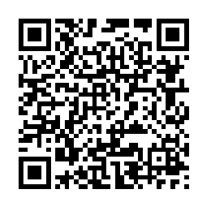 指不定面对的是天炎九头蛇傀儡还是九天雷兽傀儡二维码生成