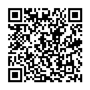 指使弟子打压东部联盟弟子的事情他根本就没有隐瞒二维码生成