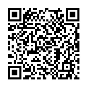 指南到现在还没有给他计算救下原际部落的总点数二维码生成