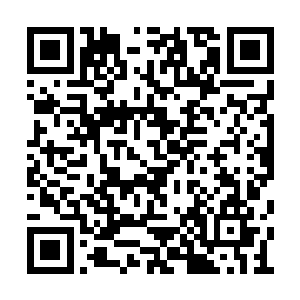 指尖也不断地揉捏拉扯着已经肿胀发硬的小突起二维码生成