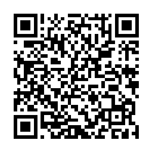指尖捻着的金针就已经刺在了李明月的胸口正中央位置上二维码生成