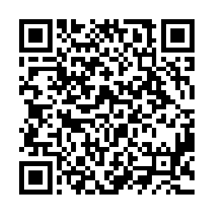 指指周围起身拿了自己的双肩背包走到外面的阳台上二维码生成