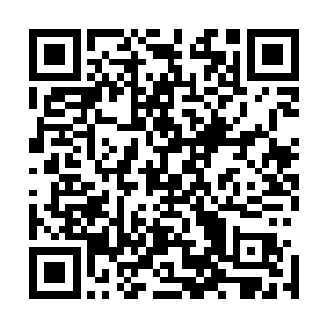 指挥人把目标人五花大绑上拖到别墅院子里的一辆车子旁边二维码生成
