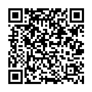 指挥十三名四阶异族攻击向吴岩的那名四阶巅峰异族二维码生成