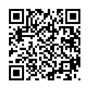 指挥官已经完全失去了自主思考的能力二维码生成